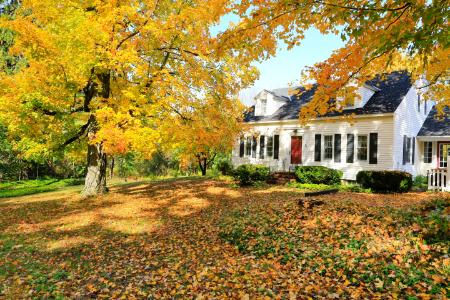 Leaf removal spring hill tn